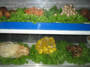 Assorted mushrooms in Yunnan.