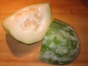 winter melon